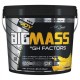 BİG JOY BİG MASS + GH FACTORS 3000 GR