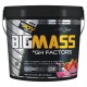 BİG JOY BİG MASS + GH FACTORS 3000 GR